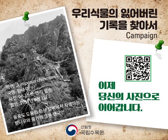 [국립수목원] 우리 식물의 잃어버린 기록을 찾아서 